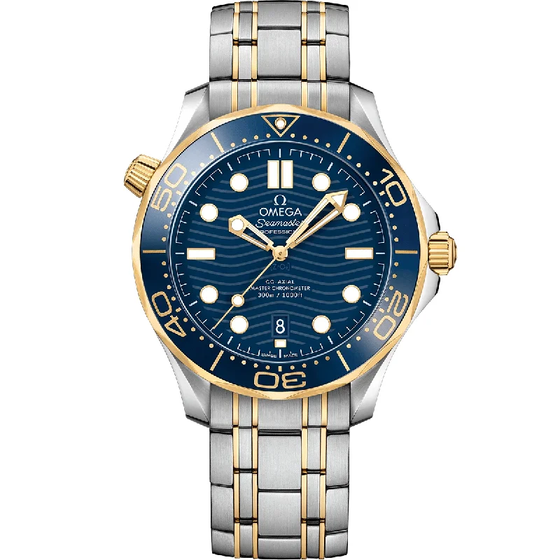 Traveler’s Watches with World Time FunctionSeamaster Diver 300M 210.20.42.20.03.001